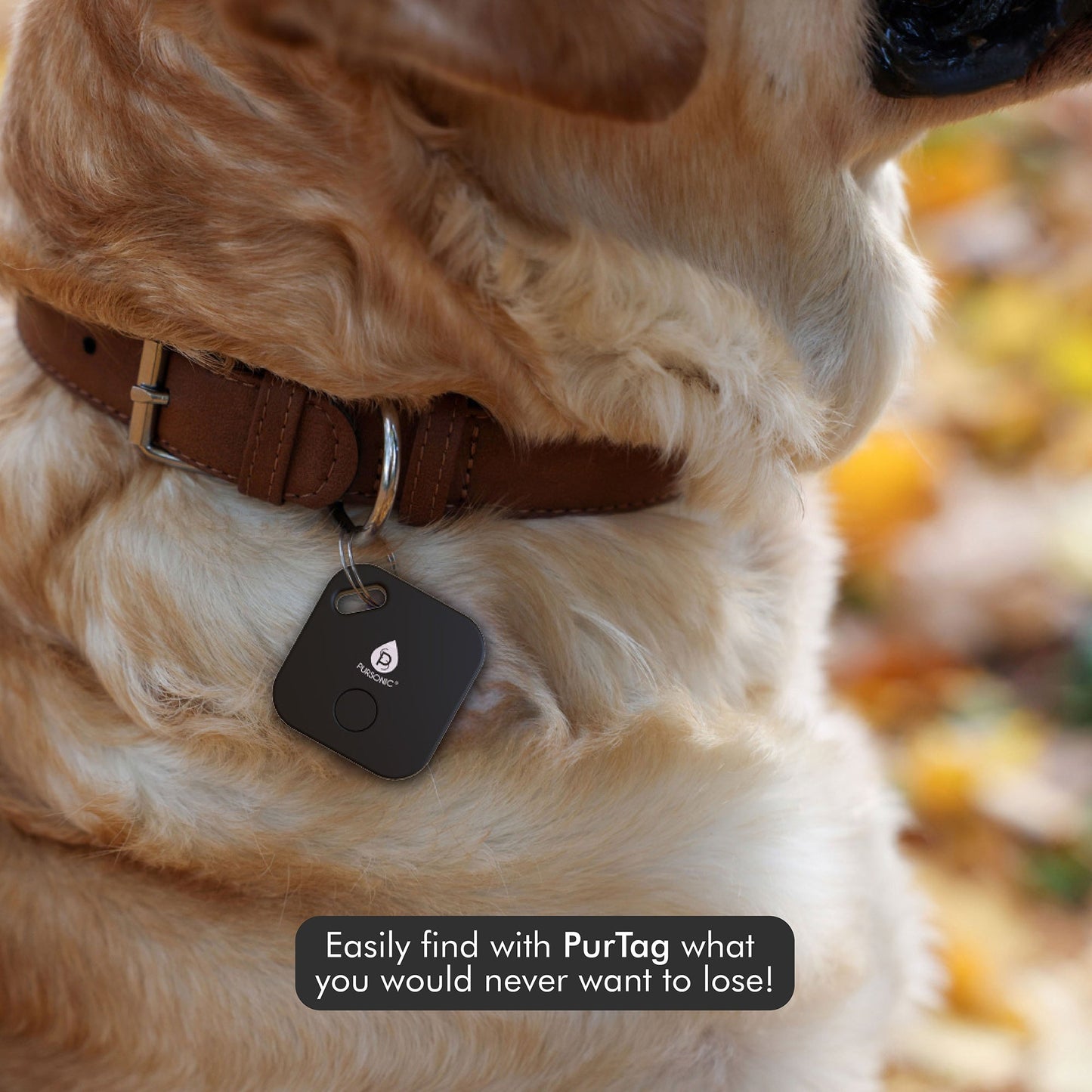 Purtag Tracker | Bluetooth Item Finder | Key/Luggage/Pet Tracker